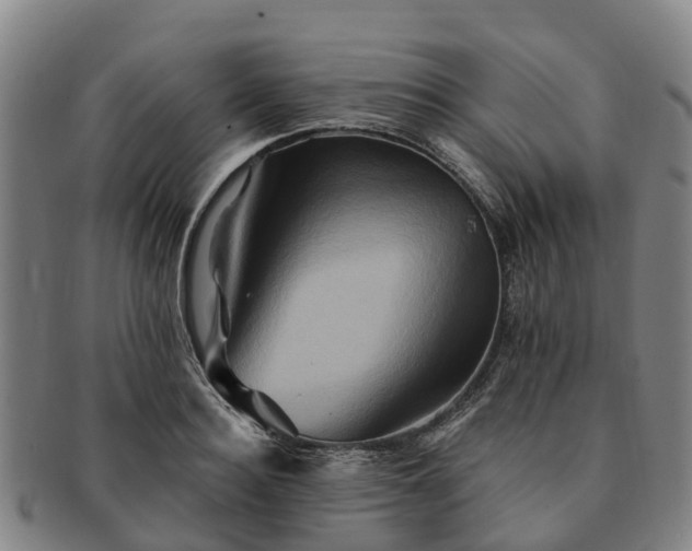 X0000091590940200708271240