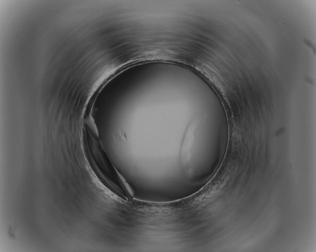 X0000091590941200708271240