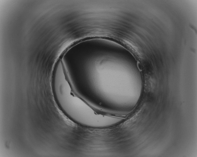 X0000091590942200708271240