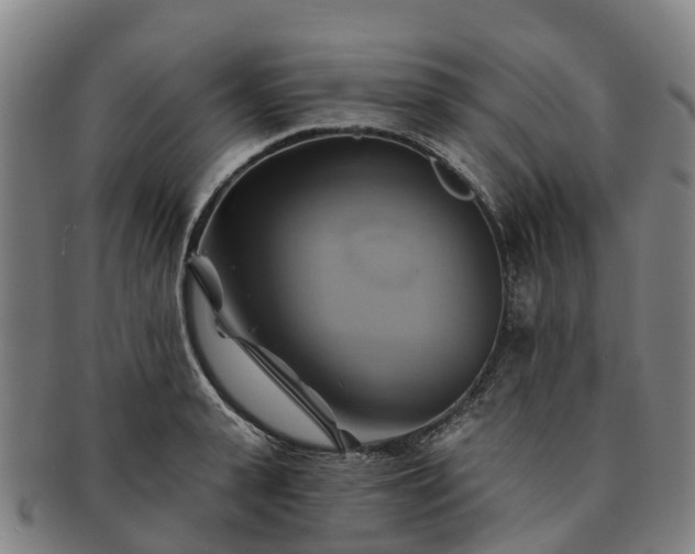X0000091590943200708271240