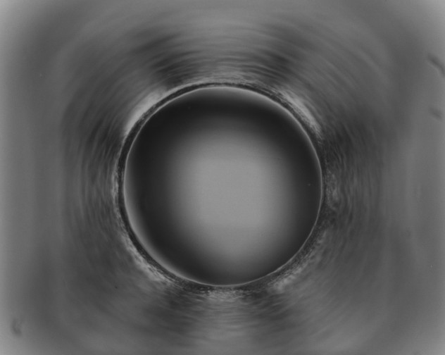X0000091590944200708271240