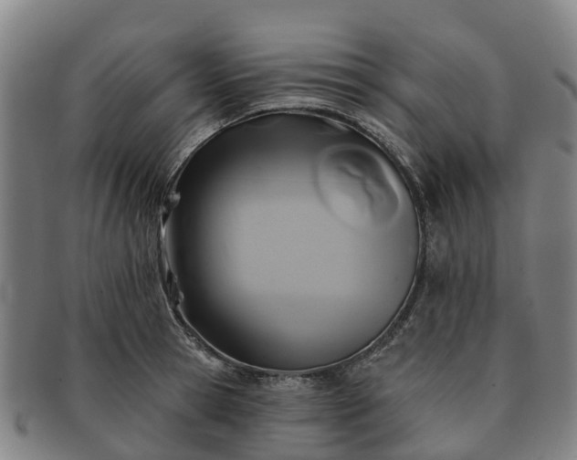 X0000091590945200708271240