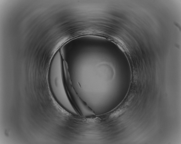X0000091590946200708271240