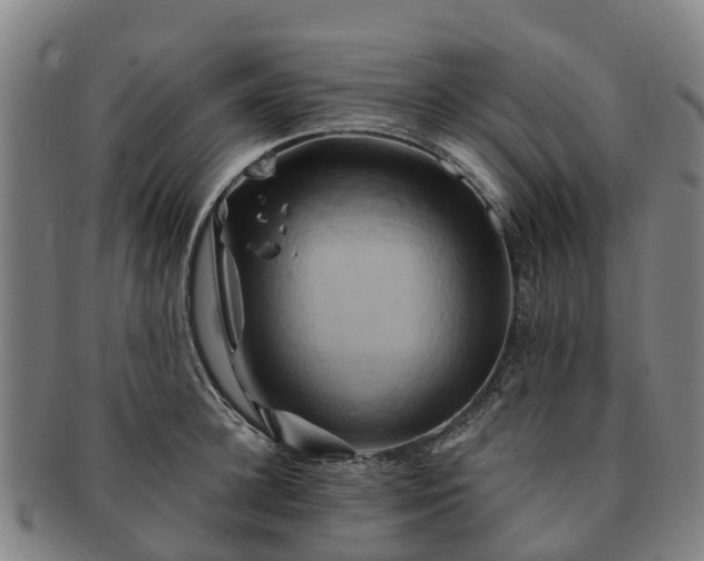 X0000091590948200708271240
