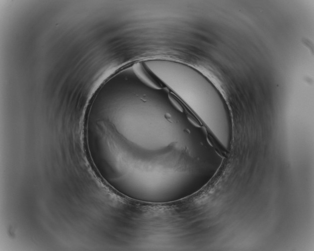 X0000091590949200708271240