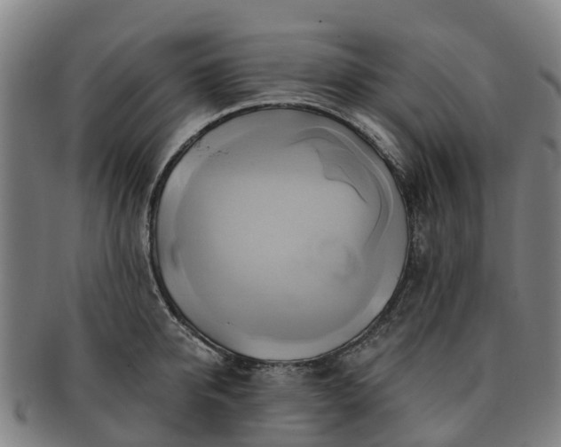 X0000091590950200708271240