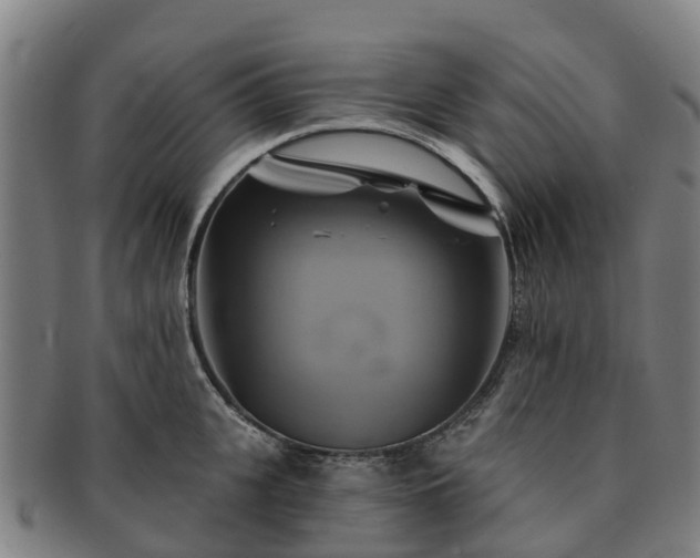 X0000091590951200708271240