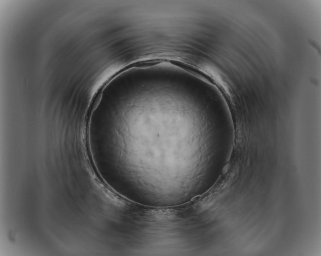 X0000091590952200708271240