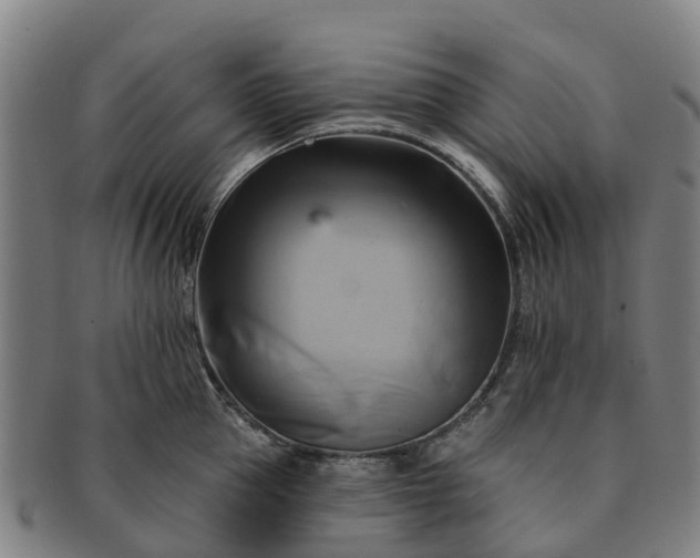 X0000091590953200708271240