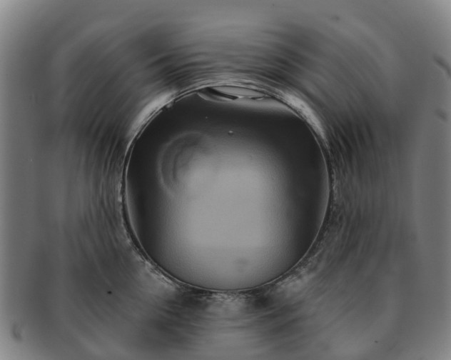 X0000091590954200708271240