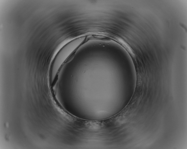 X0000091590955200708271240