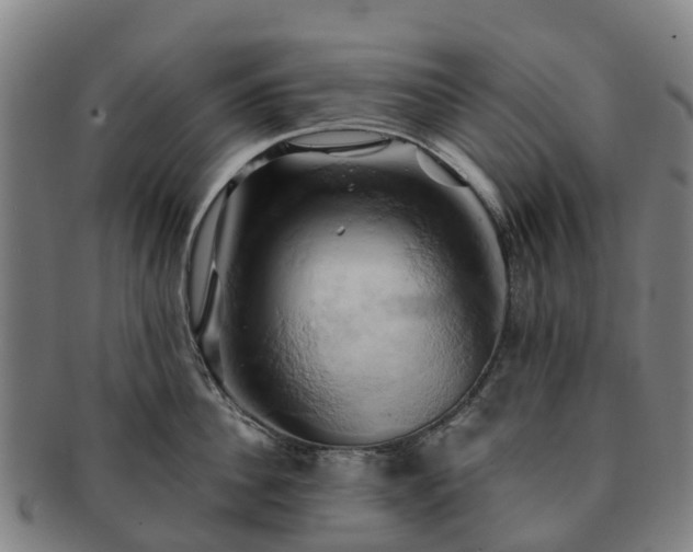 X0000091590956200708271240