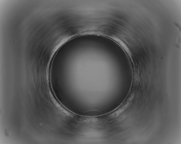 X0000091590957200708271240