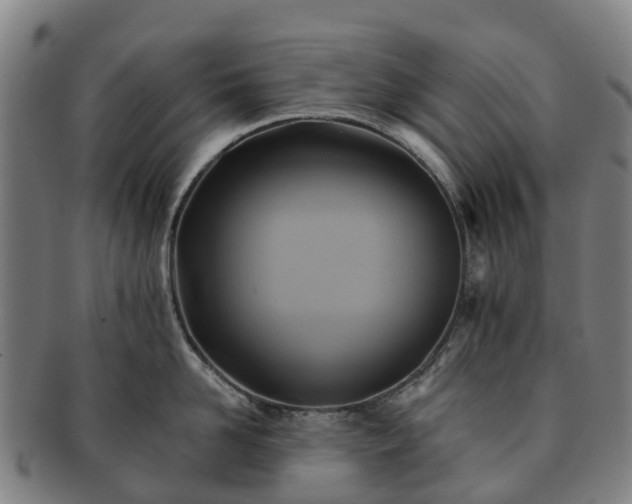 X0000091590958200708271240