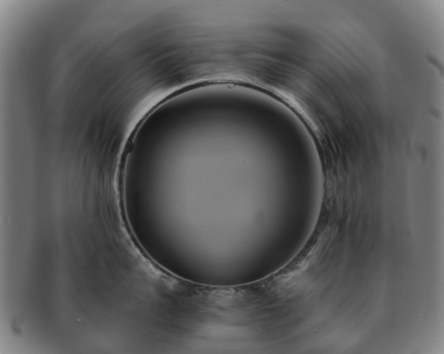 X0000091590959200708271240