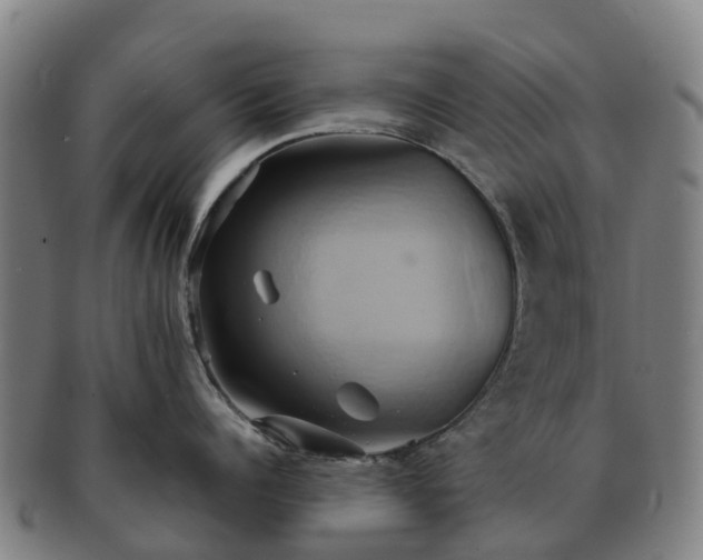 X0000091590960200708271240