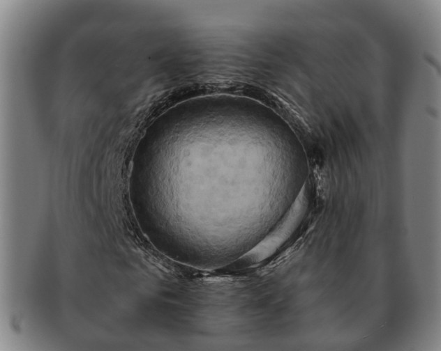 X0000091590961200708271240