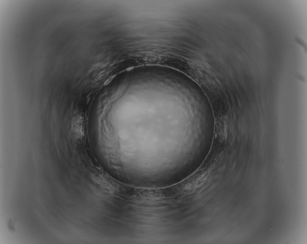 X0000091590962200708271240