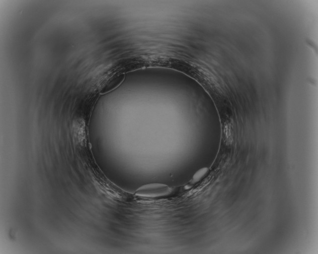 X0000091590963200708271240