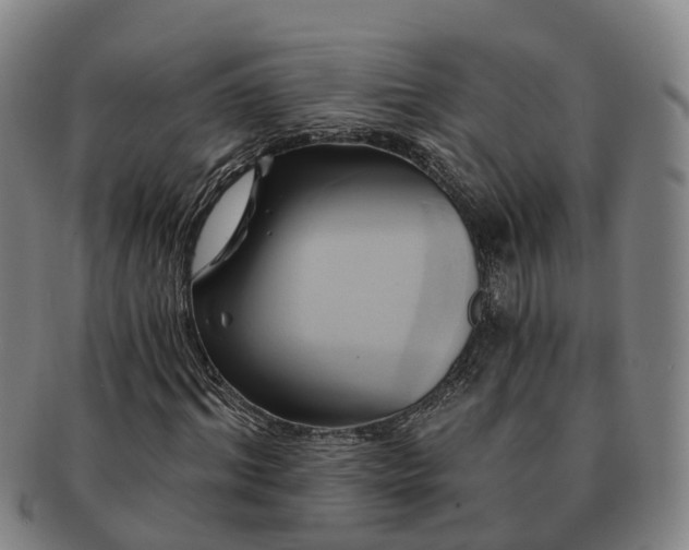 X0000091590964200708271239