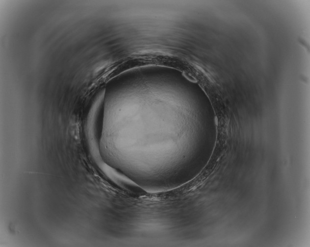 X0000091590965200708271239