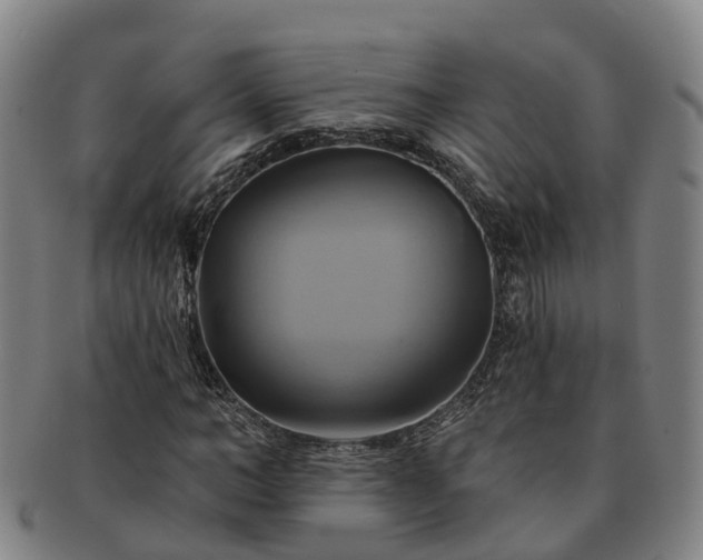 X0000091590966200708271239
