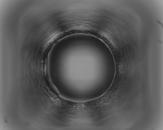 X0000091590968200708271239