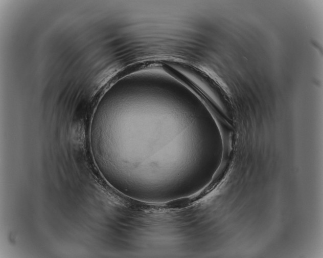 X0000091590969200708271239