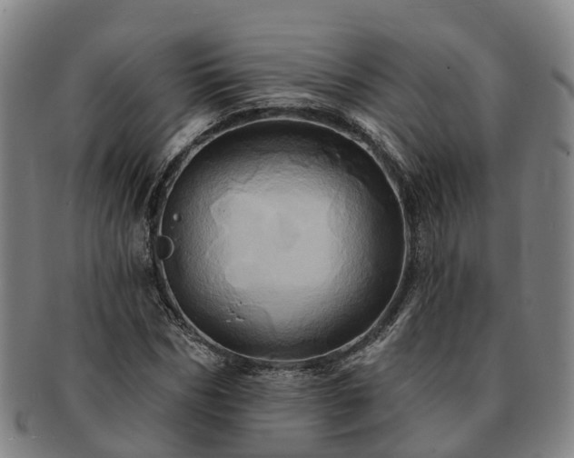 X0000091590970200708271239