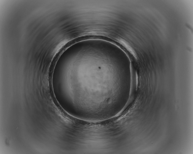 X0000091590972200708271239