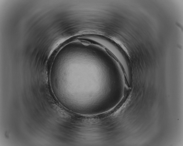 X0000091590973200708271239