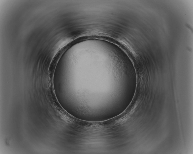 X0000091590974200708271239