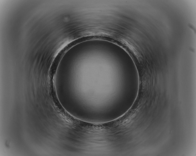 X0000091590975200708271239
