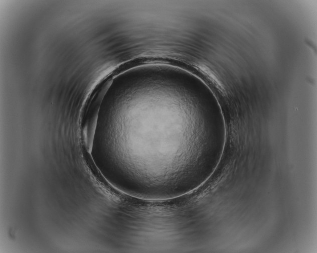 X0000091590976200708271239
