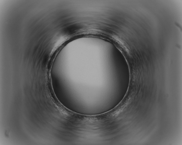 X0000091590978200708271239