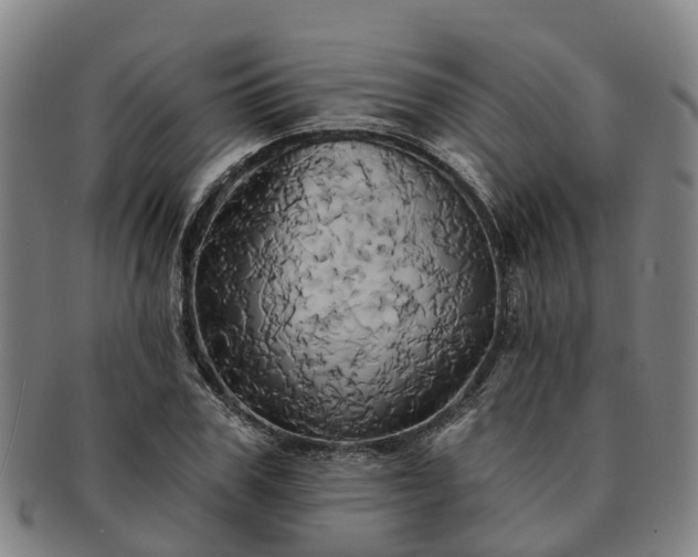X0000091590979200708271239