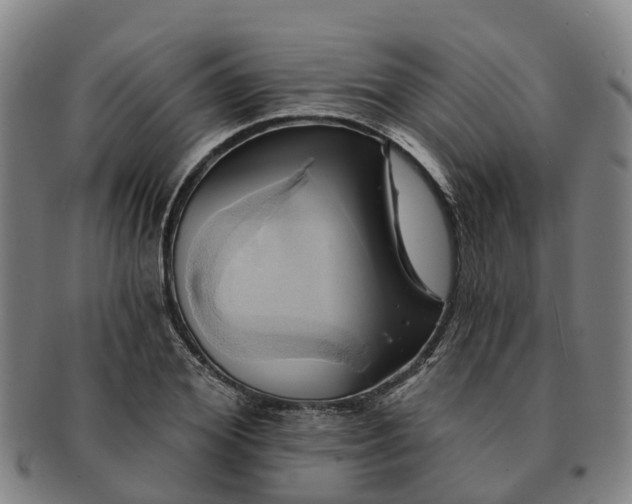 X0000091590980200708271239