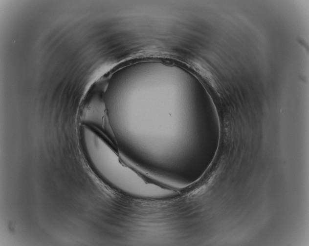 X0000091590981200708271239