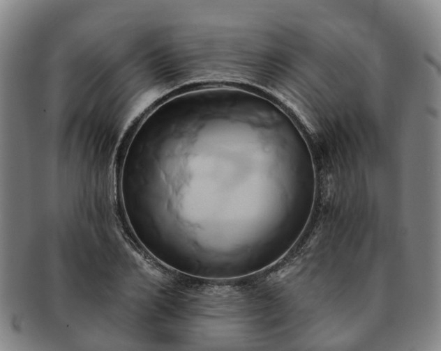 X0000091590982200708271239