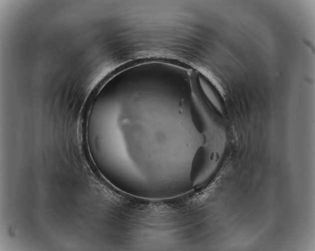 X0000091590983200708271239