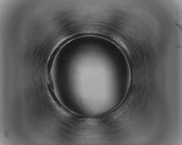 X0000091590984200708271239