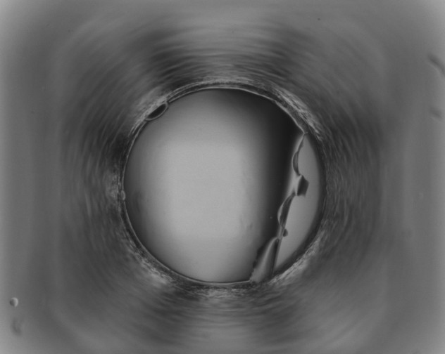 X0000091590985200708271239
