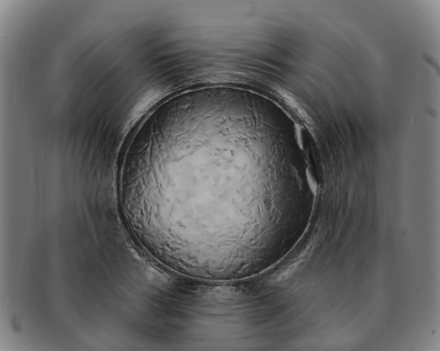 X0000091590986200708271239