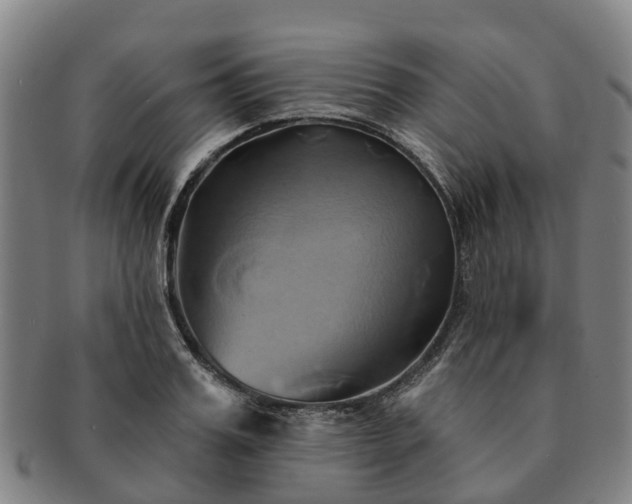 X0000091590987200708271239