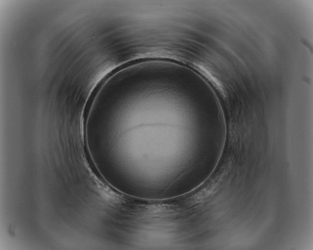 X0000091590988200708271239