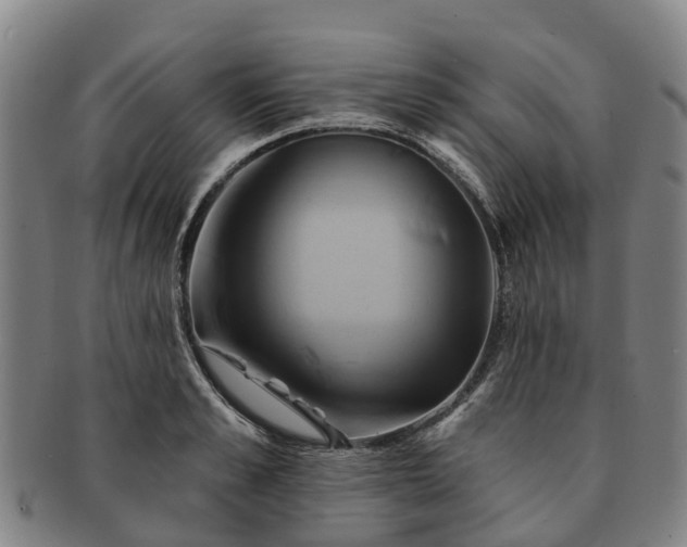 X0000091590989200708271239