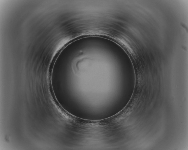 X0000091590990200708271239