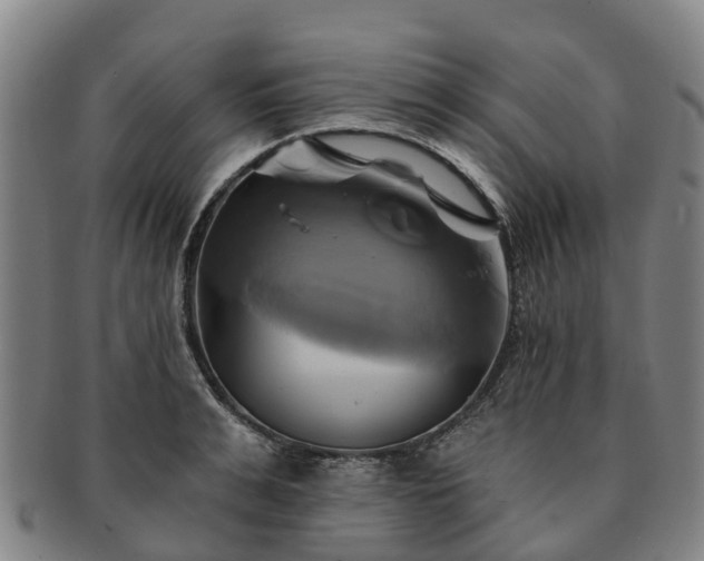 X0000091590991200708271239