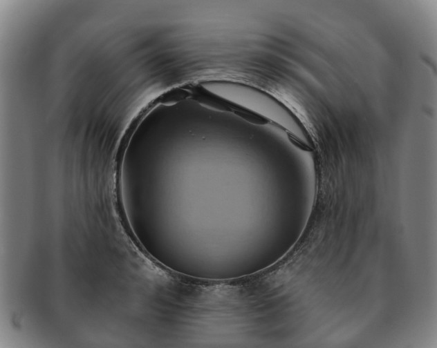 X0000091590992200708271239