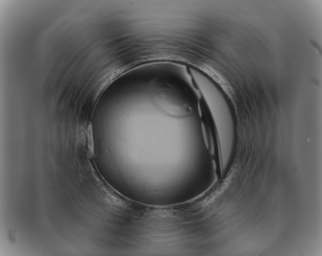 X0000091590993200708271239